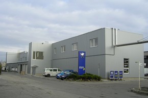 peugeotlux1.jpg